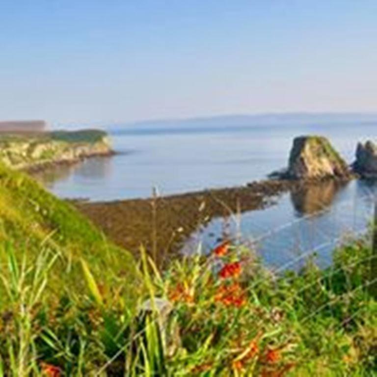 Windhaven Camping And B&B Thurso Exterior foto